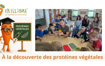 À la découverte des protéines végétales avec Ekillibre