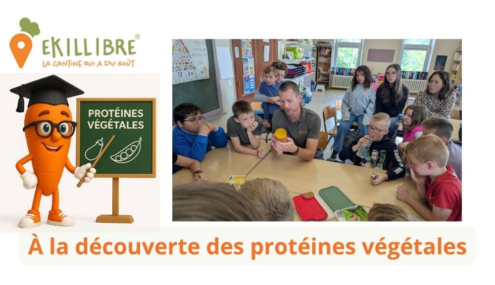 À la découverte des protéines végétales avec Ekillibre